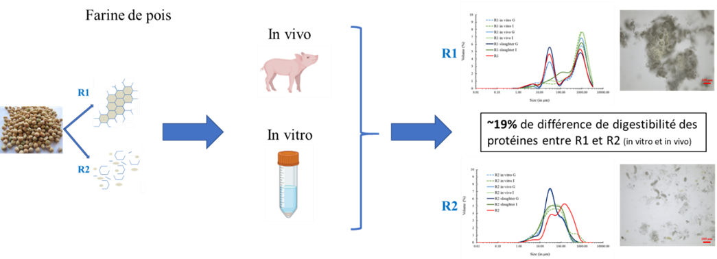 2024.09.09 - actu Biofonte - fig .1